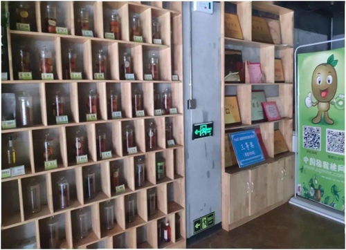 數(shù)字經(jīng)濟展示 獼猴桃網(wǎng)平臺建設(shè)項目