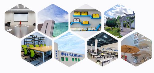 消博線(xiàn)報(bào) 醫(yī)藥黑科技、珍稀祖母綠與人工智能軟件齊聚，引領(lǐng)消費(fèi)新浪潮