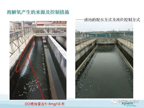 深床濾池在污水廠類四類水提標(biāo)項(xiàng)目中的關(guān)鍵應(yīng)用及與污水管網(wǎng)工程協(xié)同探討