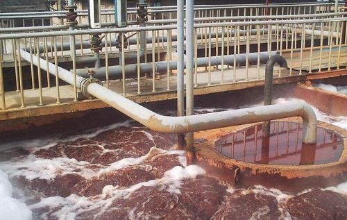 造紙廠被罰300萬，企業如何構筑“綠色防線”避免觸碰污染環境罪？