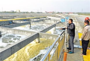 污水處理廠與污水管網工程的協同發展與重要性分析