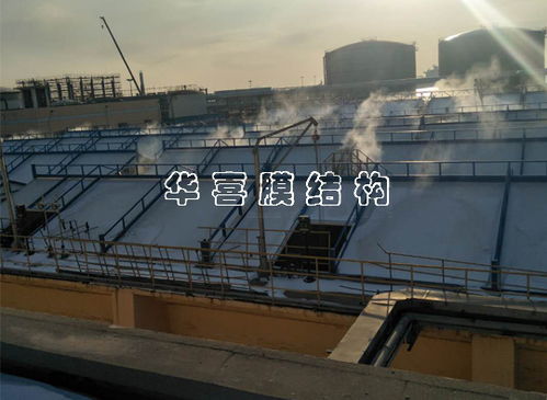 大連石化污水處理廠污水管網(wǎng)工程建設(shè)與管理探討