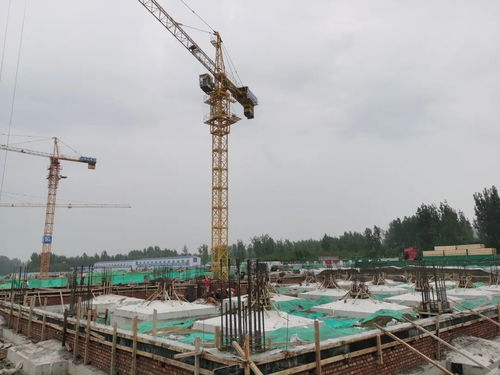 淄博高新區 項目建設映春色 污水管網蓄動能